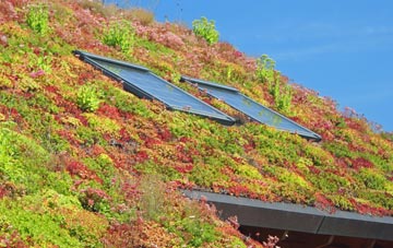 Blacksnape living roof systems