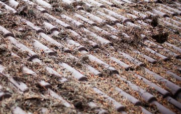 Blacksnape roof cleaning companies